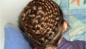 Braided Beehive Hairstyle 32 Delicate Hairstyles with Braids