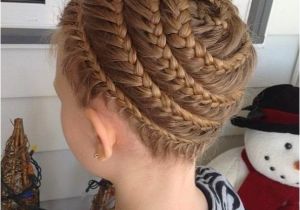 Braided Beehive Hairstyle the Spiral Braid and Video Tutorials the