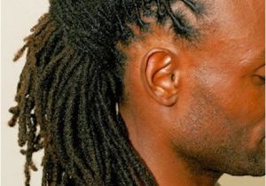 Braided Dreads Hairstyles for Men Dreadlocks Braided Hairstyles