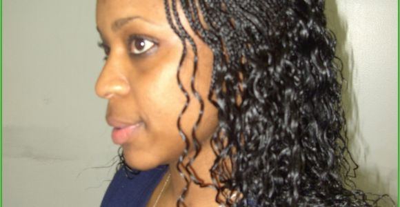 Braided Hairstyles Black Hair 2014 Braid Hairstyles 2016 Braided Hairstyles for Long African American