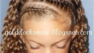 Braided Hairstyles for Mixed Hair Braided Front the Hair Says It
