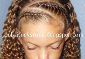 Braided Hairstyles for Mixed Hair Braided Front the Hair Says It