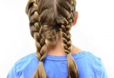 Braided Pigtails Hairstyle Fresh Pigtail Braids Short Hair