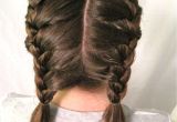 Braided Pigtails Hairstyle Pigtail Braids Short Hair Awesome Fascinating How to Double French