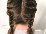 Braided Pigtails Hairstyle Pigtail Braids Short Hair Awesome Fascinating How to Double French