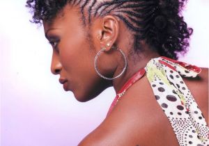 Braiding Hairstyles with Natural Hair My Hairspiration for the Day Braided Updo’s