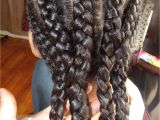 Braids Hairstyles for Adults Different Kinds Of Curls Cute Protective Hairstyle for