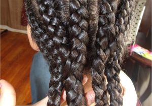 Braids Hairstyles for Adults Different Kinds Of Curls Cute Protective Hairstyle for