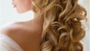 Bridal Hairstyles Half Up Half Down with Veil and Tiara Pin by Nectaria Kordan On Bridal Hair Pinterest