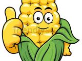 Cartoon Hairstyles Clipart Corn Mascot Thumbs Up Cartoon Vector Clipart Clip Arts