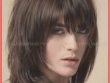 Chin Length Blunt Cut Hairstyles Enormous Medium Hairstyle Bangs Shoulder Length Hairstyles with
