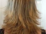 Chin Length Bob Hairstyles Back View Layered Haircut Back View Hair Pinterest