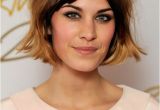 Choppy Shaggy Bob Haircut Alexa Chung Choppy Shaggy Bob Hairstyle Women Hairstyles