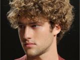 Cool Hairstyles for Men with Curly Hair Short Curly Hairstyles for Men