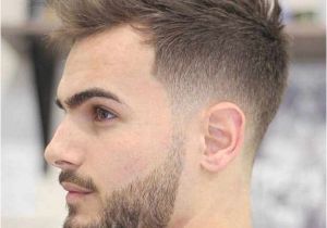 Curly Hairstyles 2019 Male 20 Inspirational Short Hairstyle 2019 for Man