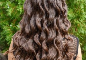 Curly Hairstyles Back View Long Glossy Curly Hair Back View — ZdjÄcie Stockowe © Alter