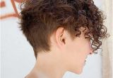 Curly Hairstyles with Shaved Sides Cute Short Side Shaved Curly Hair Hair Pinterest