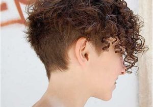 Curly Hairstyles with Shaved Sides Cute Short Side Shaved Curly Hair Hair Pinterest