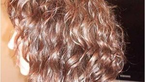 Curly Inverted Bob Haircut 20 Good Haircuts for Medium Curly Hair