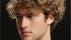 Curly Mens Hairstyles Short Curly Hairstyles for Men