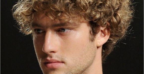 Curly Mens Hairstyles Short Curly Hairstyles for Men