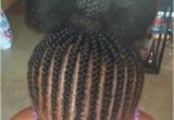Cute Braided Hairstyles for toddlers Braided Hairstyles for Kids with Natural Hair Cute