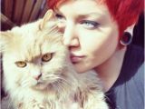 Cute Cat Hairstyles 69 Best Images About Pixie Cuts Hair On Pinterest