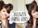 Cute Cat Hairstyles Diy Halloween Costume Ideas