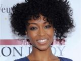 Cute Curly Hairstyles for African American Hair Natural Short Curly Hairstyle