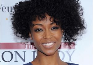 Cute Curly Hairstyles for African American Hair Natural Short Curly Hairstyle