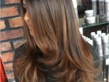 Cute Hair Highlights for Blondes Impressive Dark Hair Colors with Lowlightsi Pinimg 1200x 0d 60 8a