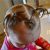 Cute Hairstyles for 1 Year Olds Cute Hairstyles for 2 Year Olds