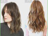 Cute Hairstyles for Highlights 67 Beautiful Highlights asian Hair