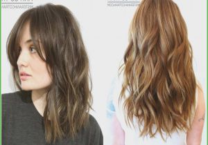 Cute Hairstyles for Highlights 67 Beautiful Highlights asian Hair
