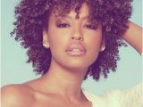 Cute Hairstyles for Natural African American Curly Hair African American Hairstyles Trends and Ideas Hairstyles