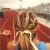 Cute Hairstyles for softball Games Braids is Would Be Cute for Volleyball Games and Track