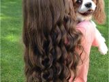 Cute Hairstyles for the Last Day Of School 5 Back to School Hairstyles Featuring Other Instagramers