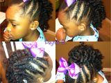 Cute Little Girl Natural Hairstyles Braided Mohawk with Braidout In the Middle Natural Hairstyles for