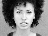 Cute Natural Afro Hairstyles 20 Cute Short Natural Hairstyles