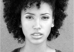 Cute Natural Afro Hairstyles 20 Cute Short Natural Hairstyles