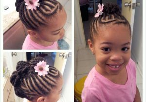 Cute Natural Hairstyles for Little Black Girls Inspirational Black Hairstyles Twists Updos Hairstyles Ideas