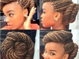 Cute Senegalese Hairstyles Spectacular Senegalese Twist Hairstyles