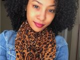 Day 2 Hairstyles for Curly Hair 3c Curly Hair for the Culture In 2019 Pinterest