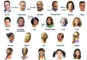 Different Hairstyles for Men and their Names Hair and the Different Types Learning English