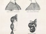 Diy 1800s Hairstyles Easy Victorian Bun Pictorial Hair