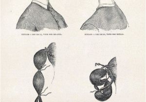 Diy 1800s Hairstyles Easy Victorian Bun Pictorial Hair