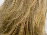 Diy Haircut Choppy Layers 70s Gypsy Shag Hairstyles Margaretwhaleypenlist Pinterest