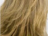 Diy Haircut No Layers 70s Gypsy Shag Hairstyles Margaretwhaleypenlist Pinterest