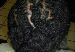 Dreadlocks Hairstyles 2010 Cinna Buns 2010 Old Styles by Mrs Walton Locs Dreads