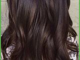 Dyed Hairstyles for Brunettes asian Hair with Highlights Awesome Long Hair Hairstyles Hair Dye